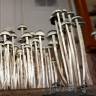 Panaeolus Cyanescens Wild Coast African